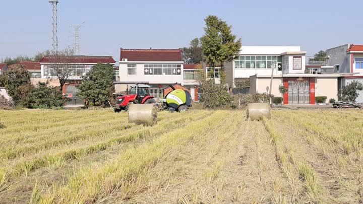 江苏锦禾高新科技，引领未来的科技创新力量