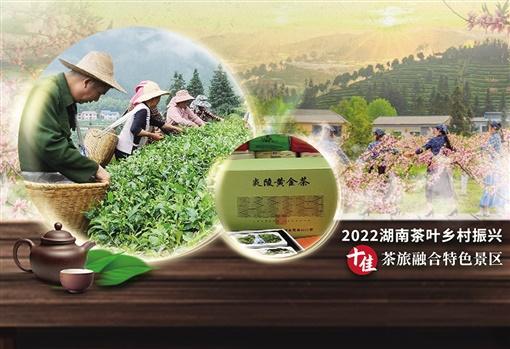 广东云雾茶业有限公司，传承茶文化，缔造品质生活