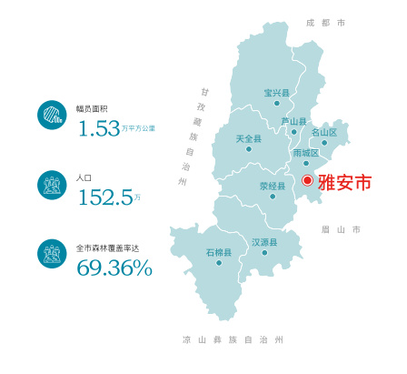 雅安房产信息深度解析