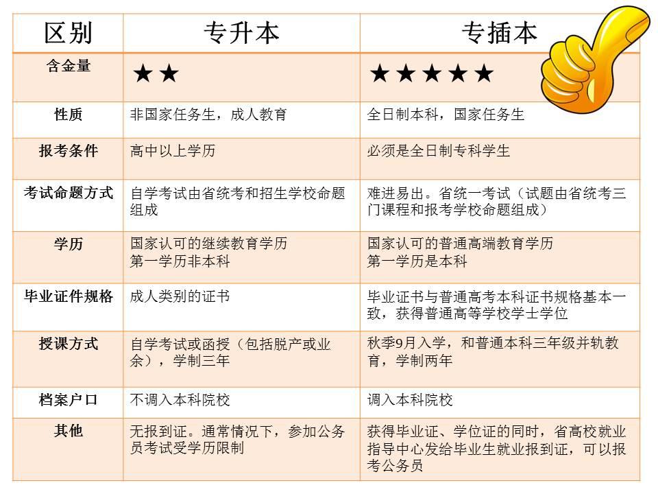 广东省插本考试网，助力学历提升，开启人生新篇章