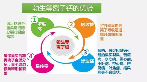 婴儿补钙的黄金时期，了解何时开始，如何正确补充钙质