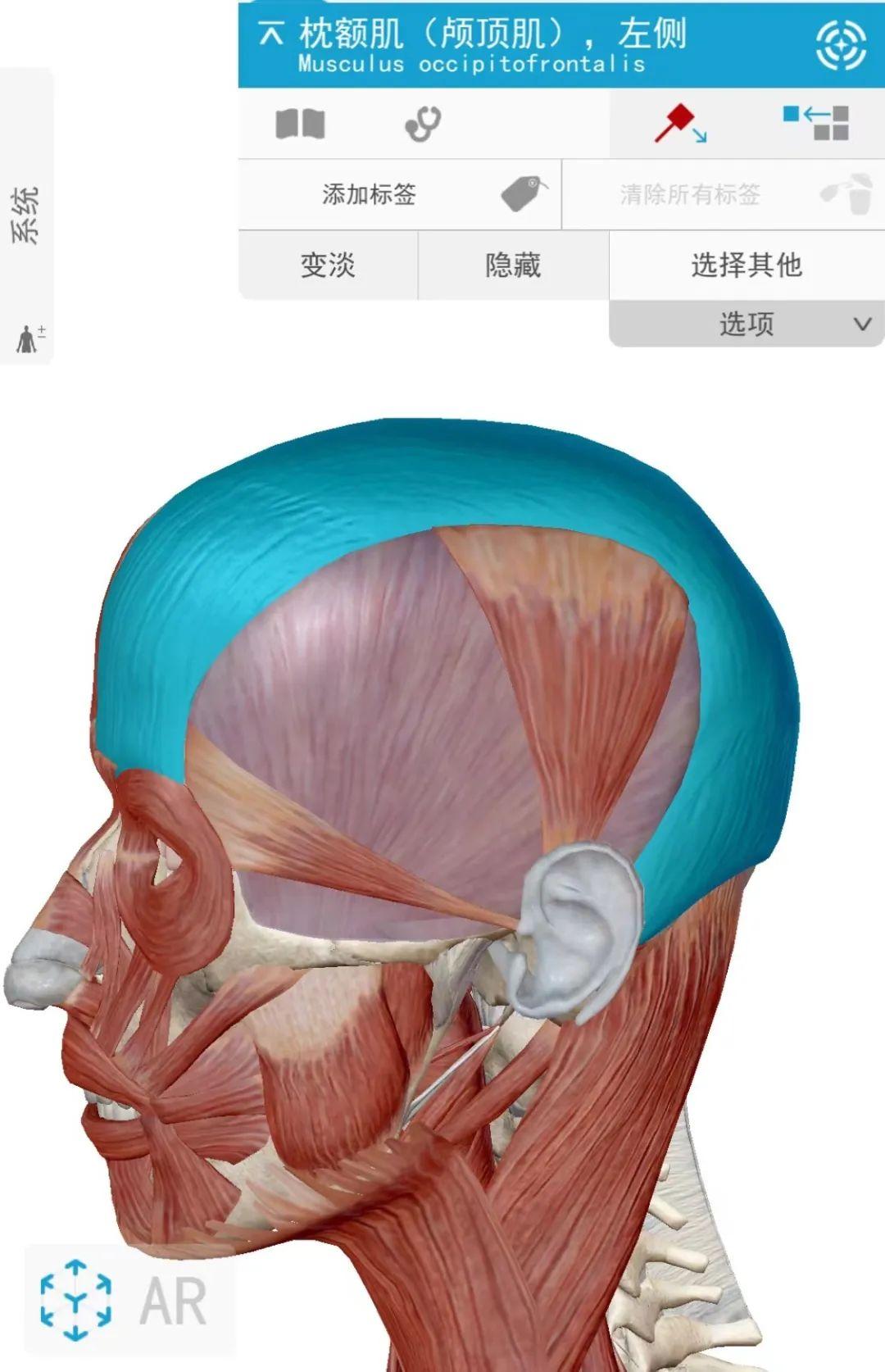 三个月宝宝大小眼，原因、影响与应对措施