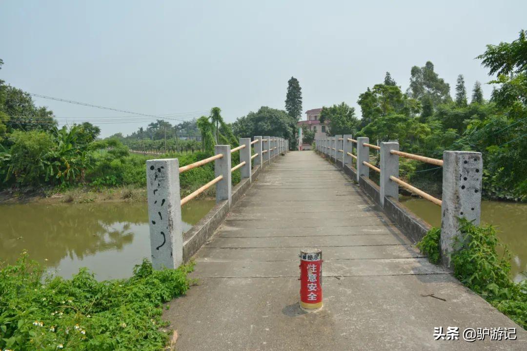 广东大型有限公司，繁荣与发展之路