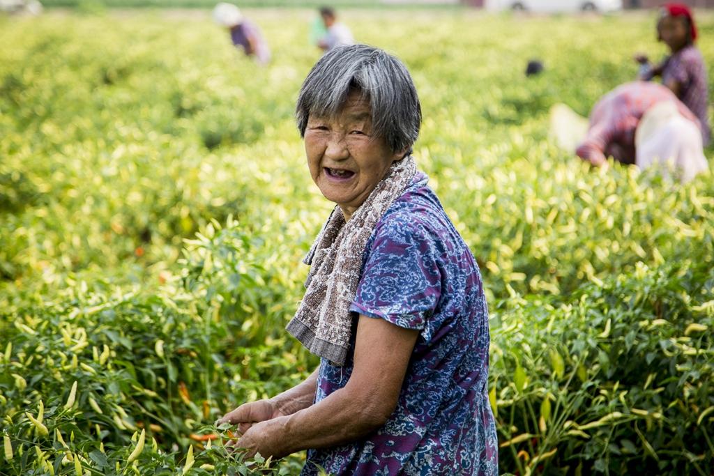 广东省听说考试时间解析与备考策略